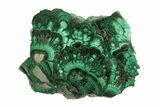 Flowery Polished Malachite Slab - DR Congo #264833-1